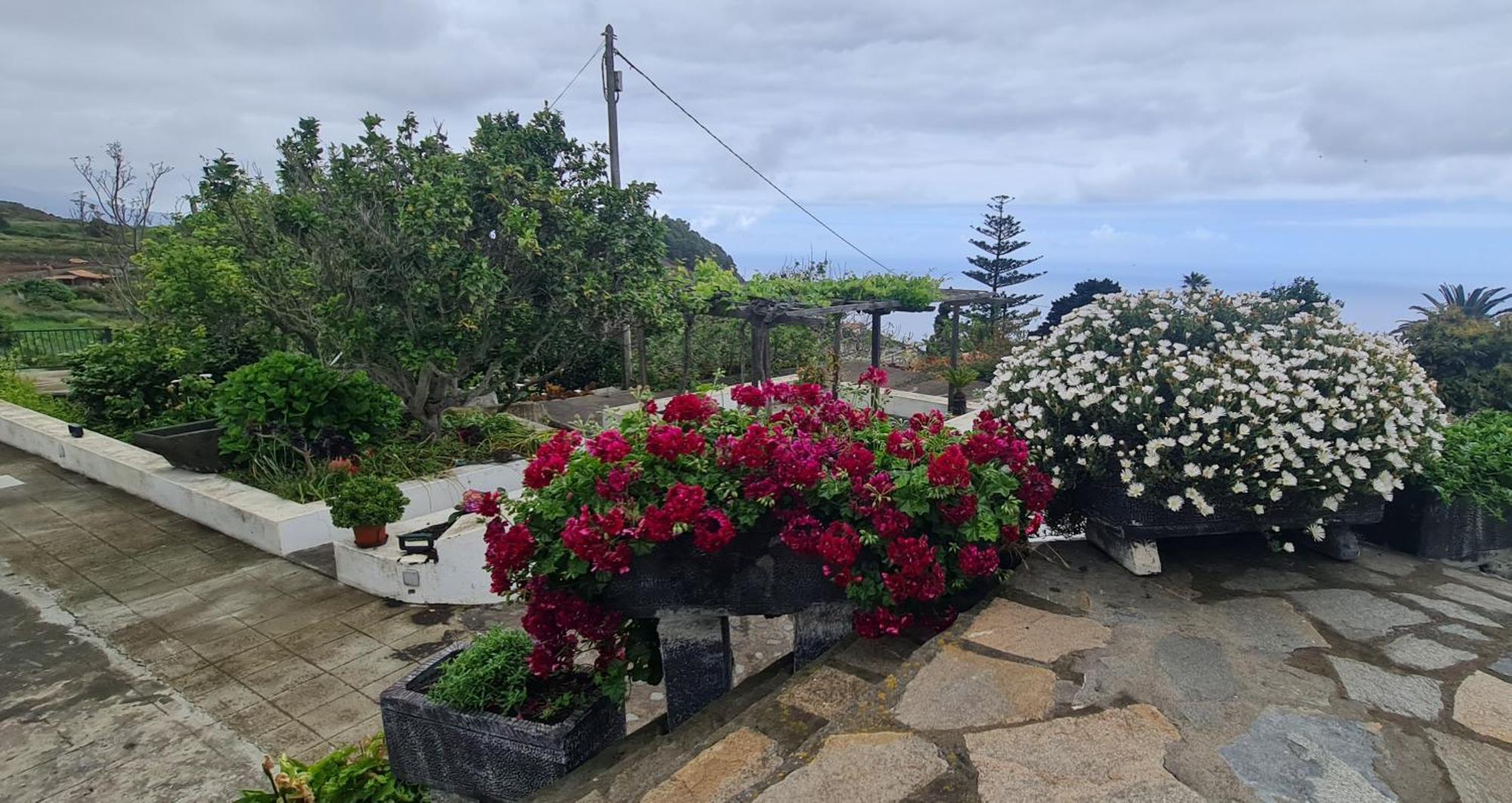 Vivienda Vacacional Finca Monterrey Mazo Δωμάτιο φωτογραφία